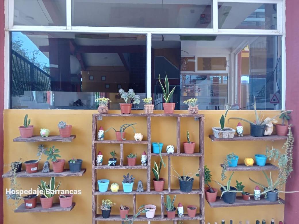 מלון Cosoleacaque Hospedaje Barrancas מראה חיצוני תמונה